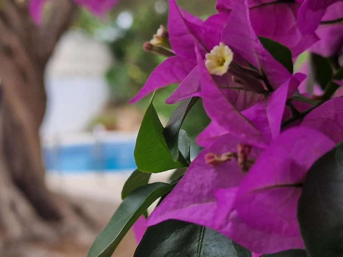 Holiday home Riumar 